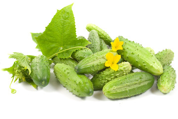 cucumbers isolated on a white background
