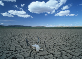 Global Drought