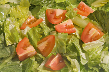 A salad of fresh romain lettuce and roma tomatoes