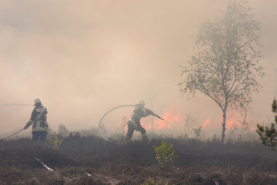 Fl&auml;chenbrand im Rosenheimer Hochmoor