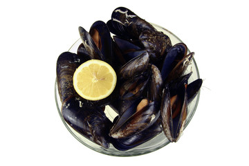 Mejillones
