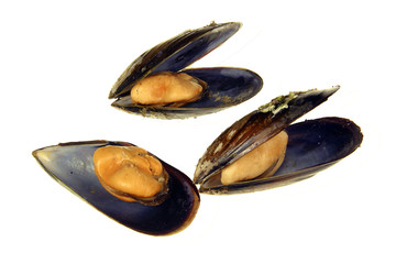 Mejillones al vapor