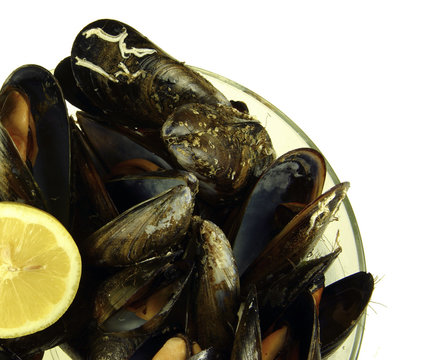 Mejillones al vapor
