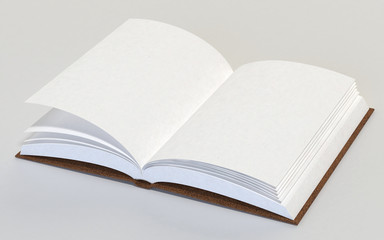 Libro aperto con pagine bianche