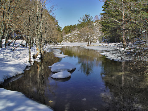 Parque Natural de Pe&ntilde;alara, r&iacute;o Lozoya, Madrid, Espa&ntilde;a