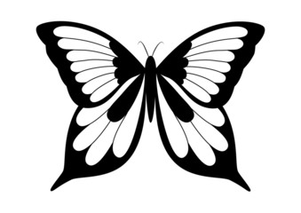 Black and white elegant butterfly