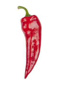 Paprika