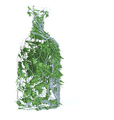 Pure drink of spring