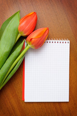 Notebook with tulips