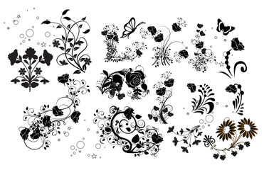 multiflorals et roses noires