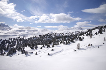 Sellajoch Südtirol