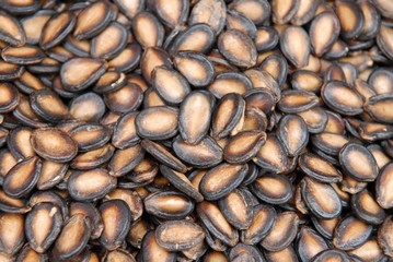 dried melon seed in the markets