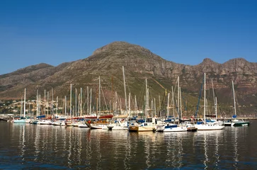 Poster Hout Bay harbour, South Africa © HarmK
