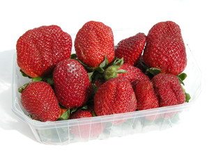 barquette de fraises