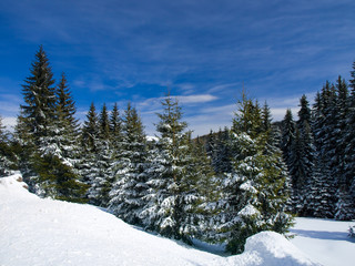 Winter landscape ,Serbia,kopaonik