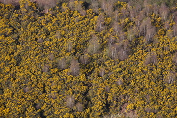lande vue du ciel