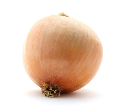 Large Spanish onion