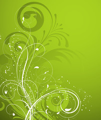 Floral abstraction for design.