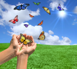 Happy Bright Landscape WIth Butterflies