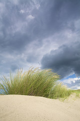 Dunes near the sea with storm clouds in Holland - 13149350