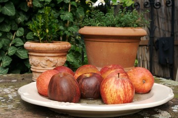 Dekoration im Garten