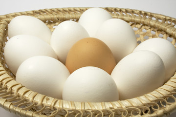 Eggs in a basket