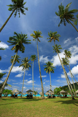 Beautiful Panorama at a Tropical Beach - 13153943