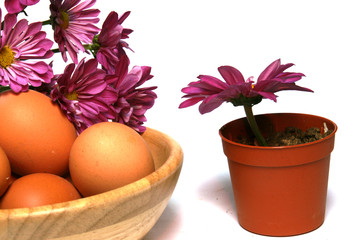 printemps et pâques