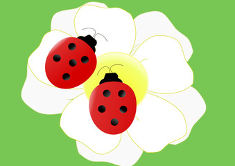 marienkäfer auf blume illustration