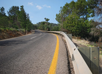asphalt road in the forest