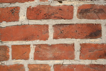 Fototapeta premium Brick wall