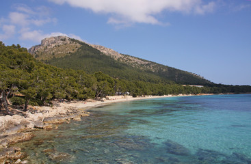 Nordküste in Palma de  Mallorca Landschaft