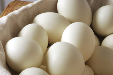 Uova fresche