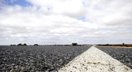 Fototapeta premium Eyre Highway, Nullarbor Plain