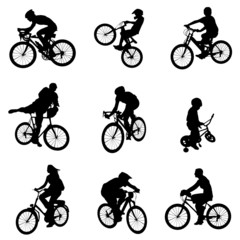 Obraz premium bicycle vector