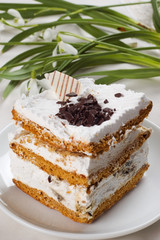 big tasty piece of cake