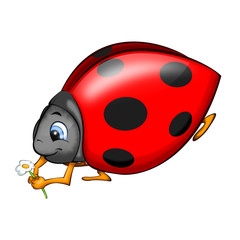 Ladybird red