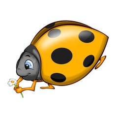 Ladybird Yellow