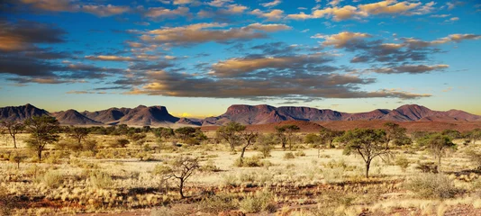 Zelfklevend Fotobehang Kalahari-woestijn, Namibië © Dmitry Pichugin