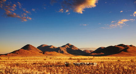 Sunset in Kalahari Desert