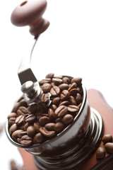 roasted coffee beans in coffee grinder isolated