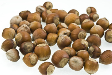 Hazelnuts