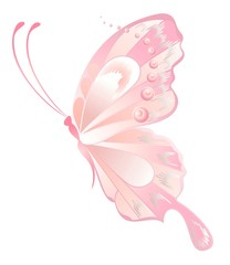 The beautiful butterfly