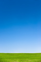 Rasen mit blauem Himmel