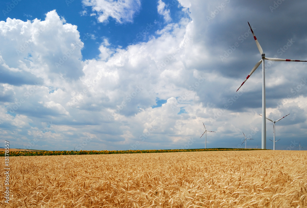 Wall mural Wind turbines in wheat field