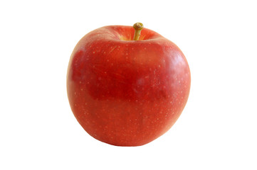 apple fruit