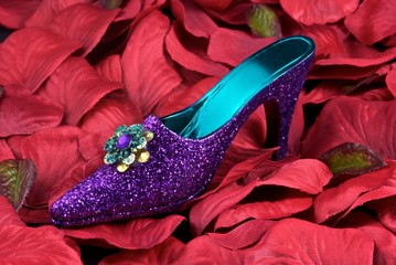 Glitter Shoe