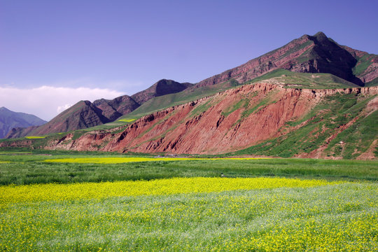 Tibet oriental