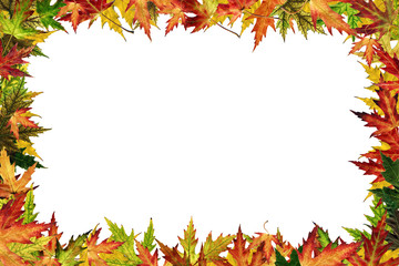 Autumnal framework with leaves.