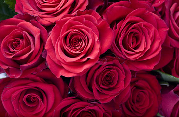 Big bunch of red roses